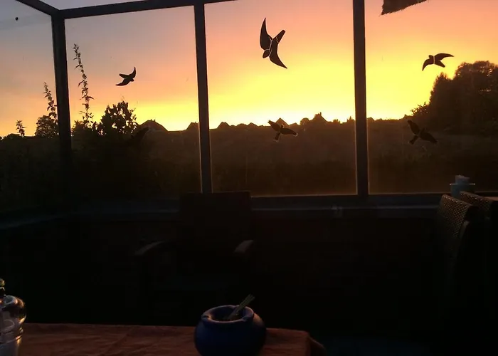 Tatil Evi Reetdachhaus Am